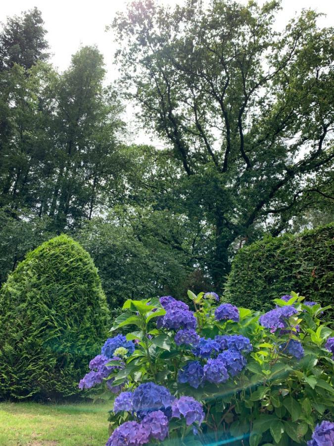 Villa Zonnebos, Private Garden, Fresh Air, Relax! Otterlo Esterno foto