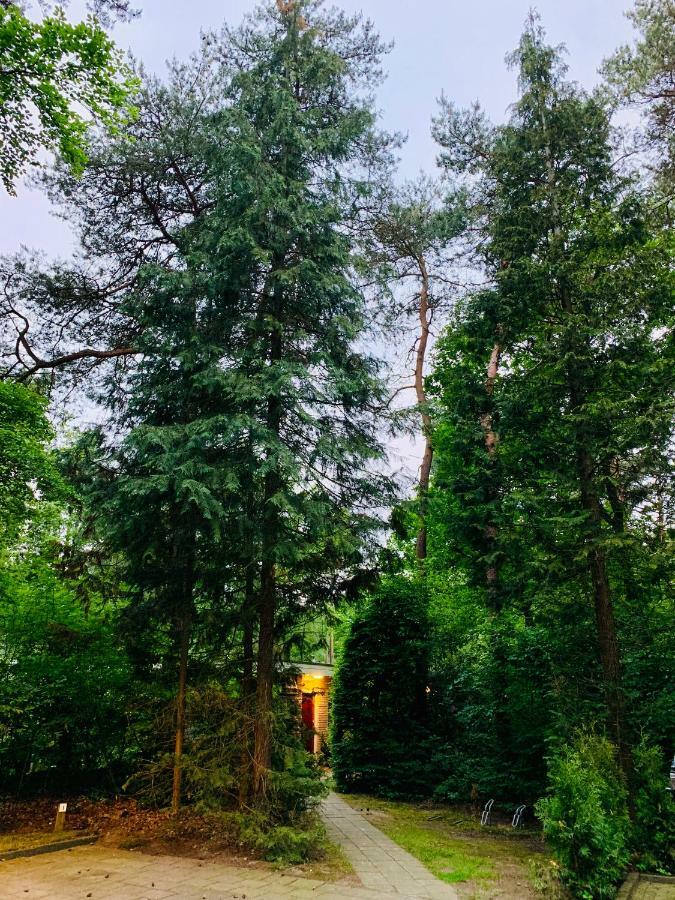 Villa Zonnebos, Private Garden, Fresh Air, Relax! Otterlo Esterno foto